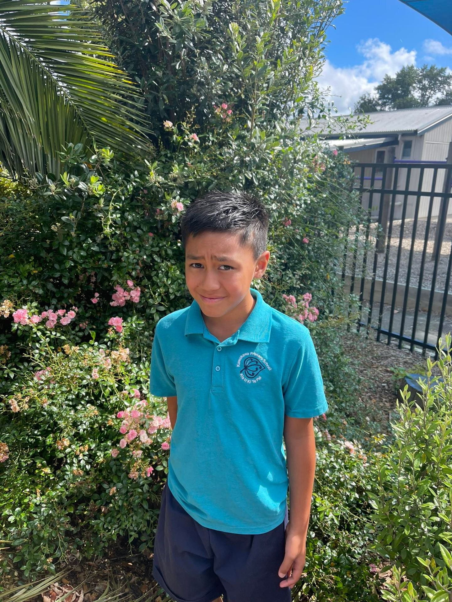 whitebait facts inanga koaro giant kokopu short jawed kokopu Cruz